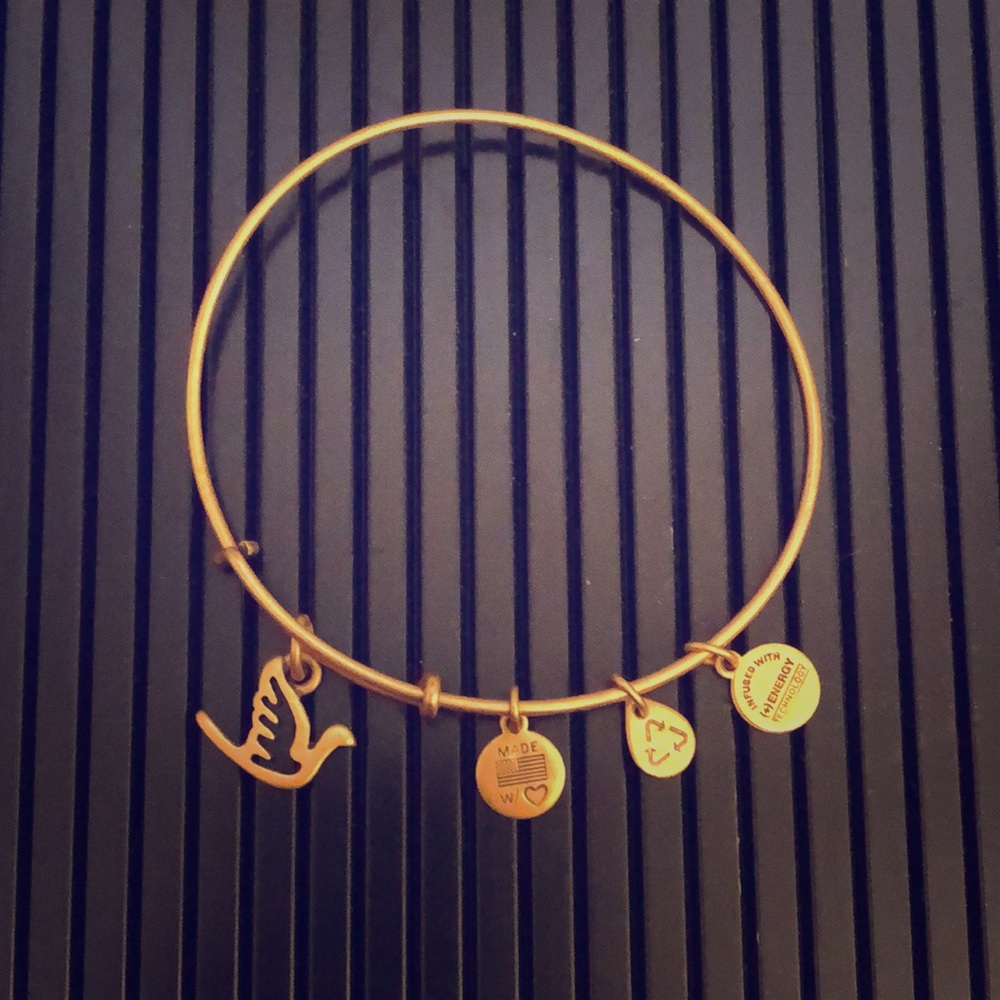 Alex and Ani Dove Bracelet